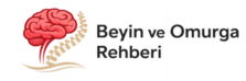 Beyin ve Omurga Rehberi